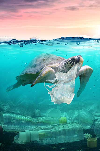 Le plastique règne, la nature crève : bilan d’une civilisation toxique